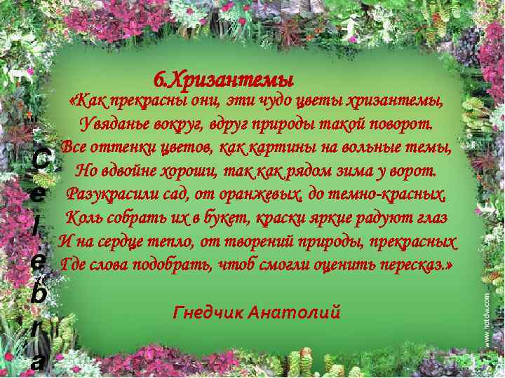 6. Хризантемы « «Как прекрасны они, эти чудо цветы хризантемы, Увяданье вокруг, вдруг природы