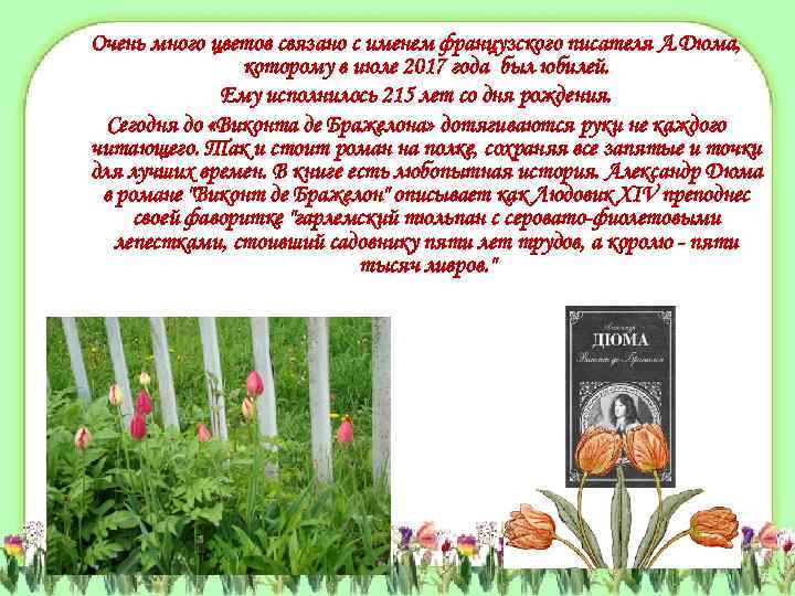 Очень много цветов связано с именем французского писателя А. Дюма, которому в июле 2017