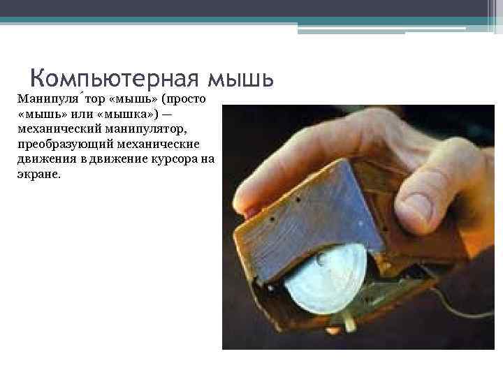 Компьютерная мышь Манипуля тор «мышь» (просто «мышь» или «мышка» ) — механический манипулятор, преобразующий