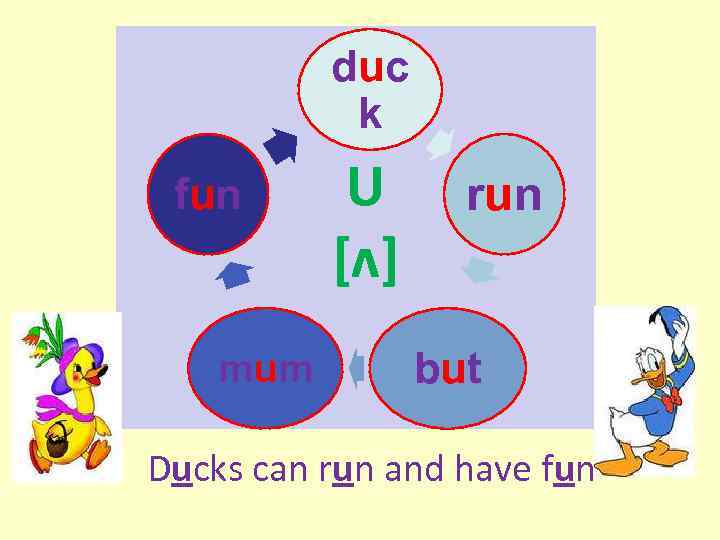 duc k fun mum U [ʌ] run but Ducks can run and have fun