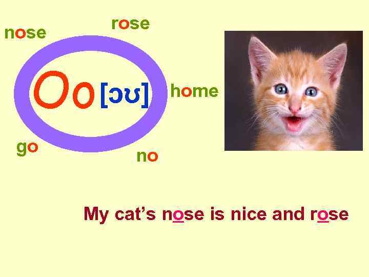 rose nose Oo go [ɔʊ] home no My cat’s nose is nice and rose