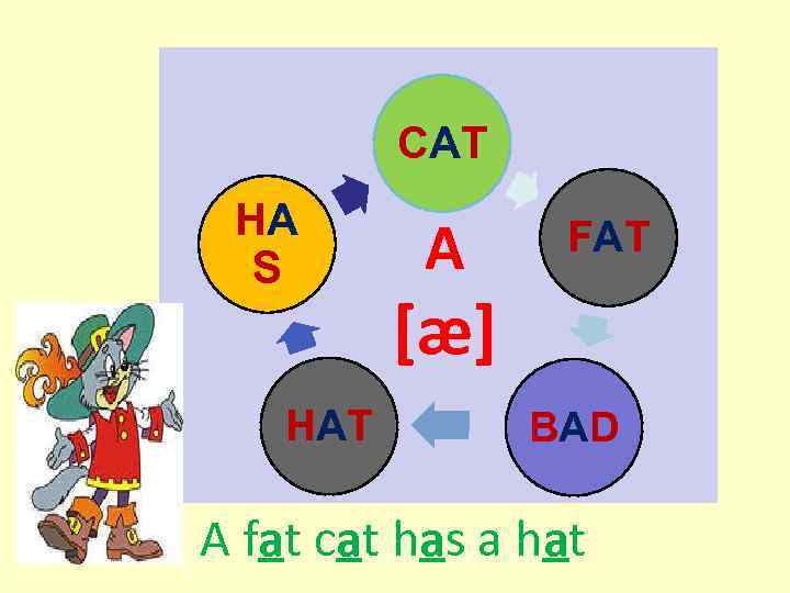 CAT HA S HAT A FAT [æ] BAD A fat cat has a hat