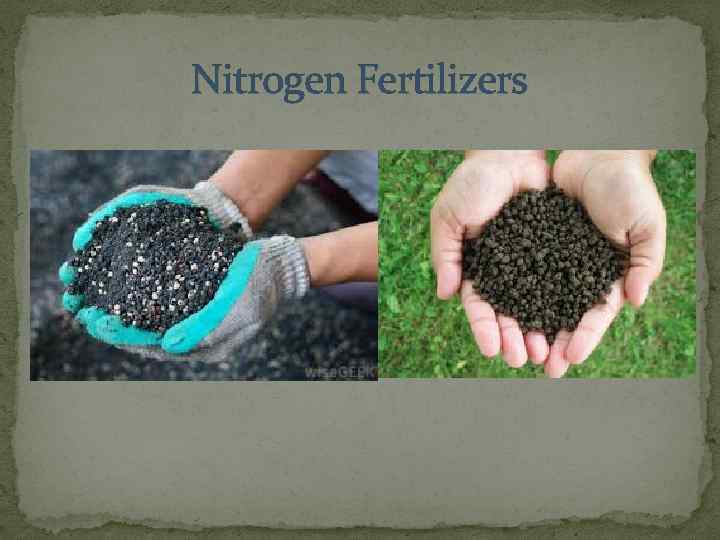 Nitrogen Fertilizers 