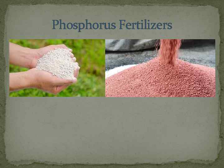 Phosphorus Fertilizers 