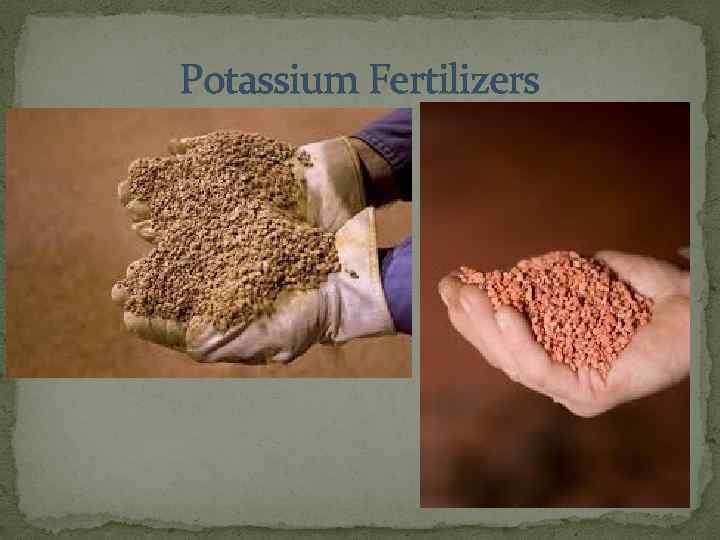 Potassium Fertilizers 