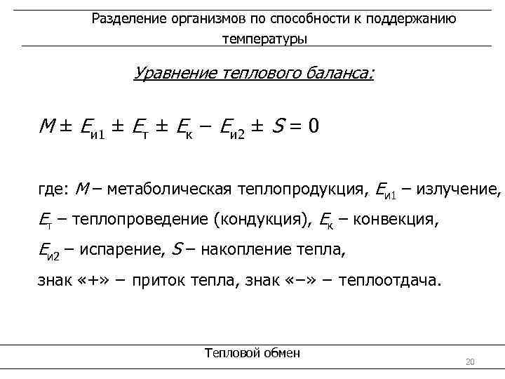 Разделение организмов по способности к поддержанию температуры Уравнение теплового баланса: М ± Еи 1