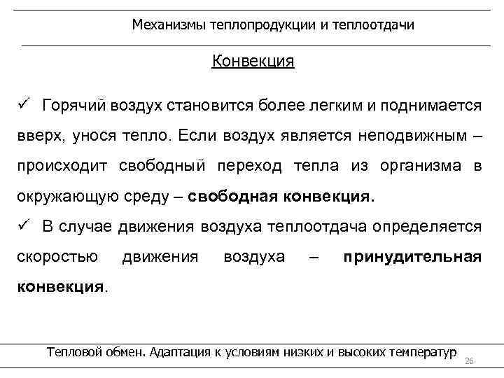 Механизмы теплопродукции и теплоотдачи Конвекция ü Горячий воздух становится более легким и поднимается вверх,