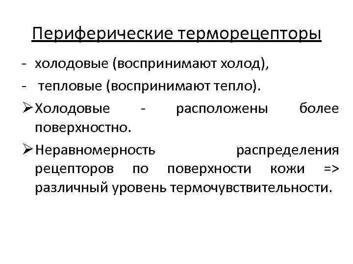 Периферические терморецепторы - холодовые (воспринимают холод), - тепловые (воспринимают тепло). Ø Холодовые расположены более