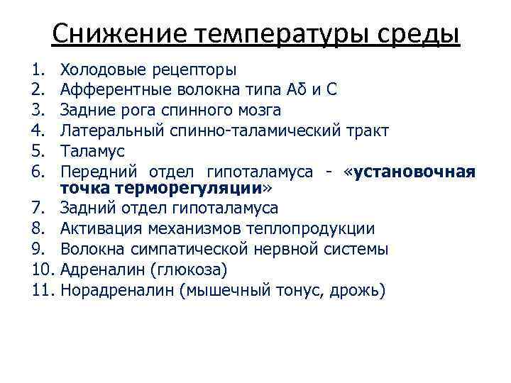 Снижение температуры среды 1. 2. 3. 4. 5. 6. Холодовые рецепторы Афферентные волокна типа