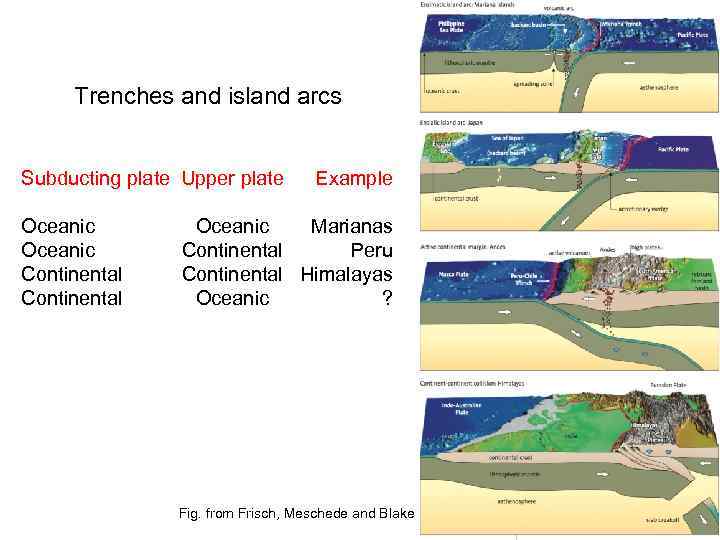 Trenches and island arcs Subducting plate Upper plate Oceanic Continental Example Oceanic Marianas Continental
