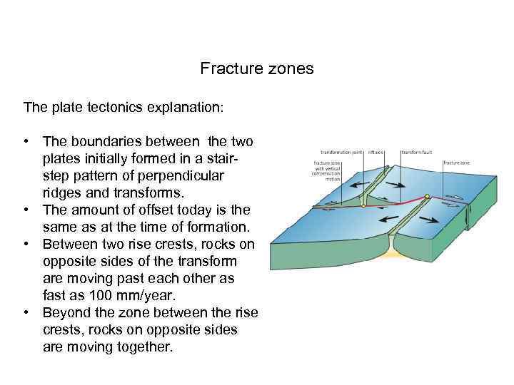 Fracture zones The plate tectonics explanation: • The boundaries between the two plates initially