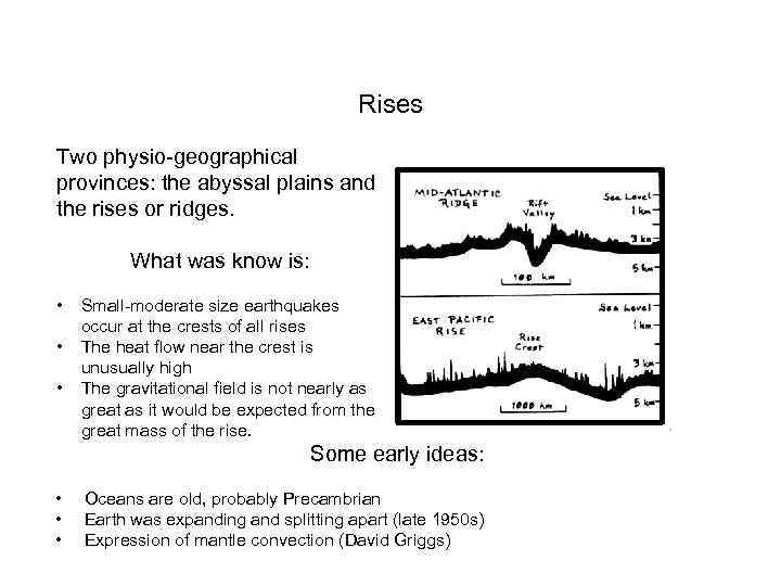 Rises Two physio-geographical provinces: the abyssal plains and the rises or ridges. What was