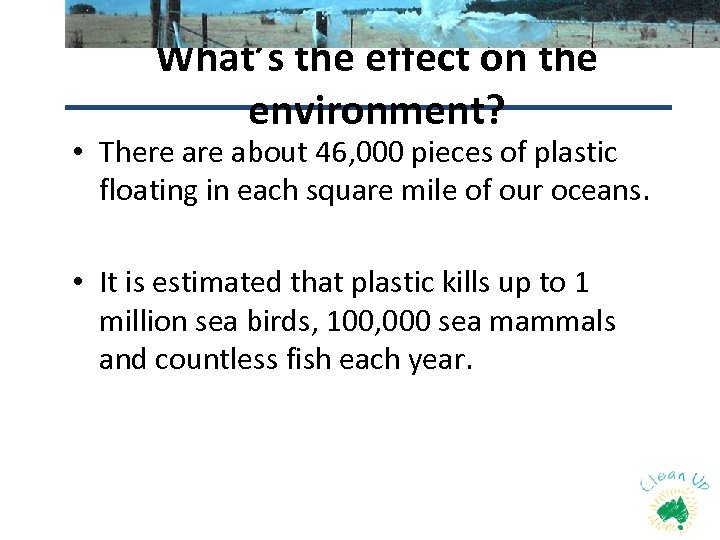 What’s the effect on the environment? • There about 46, 000 pieces of plastic