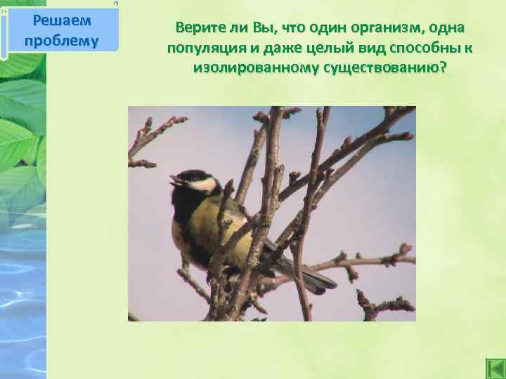 Решаем проблему Верите ли Вы, что один организм, одна популяция и даже целый вид