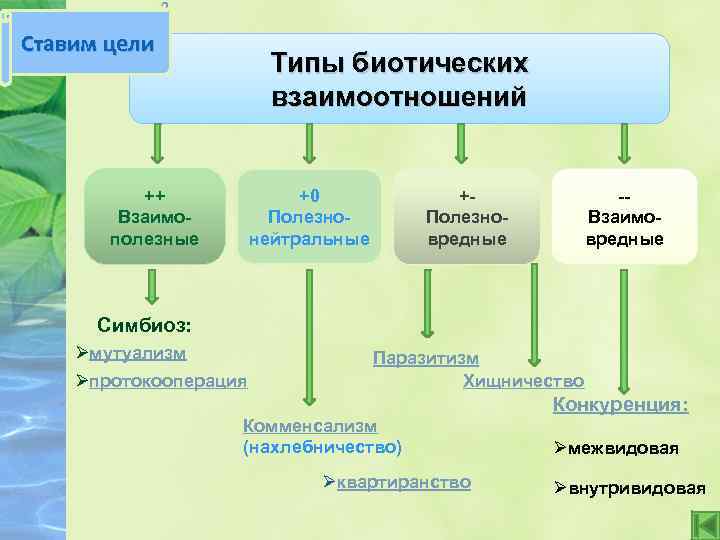 Ставим цели Типы биотических взаимоотношений ++ Взаимополезные +0 Полезнонейтральные -Взаимовредные +Полезновредные Симбиоз: Øмутуализм Øпротокооперация