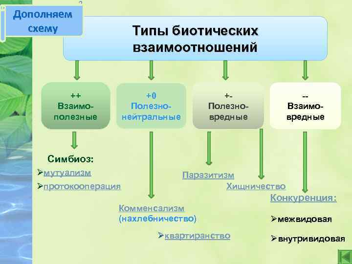 Дополняем схему Типы биотических взаимоотношений ++ Взаимополезные +0 Полезнонейтральные -Взаимовредные +Полезновредные Симбиоз: Øмутуализм Øпротокооперация