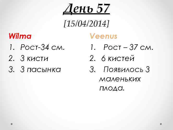 День 57 [15/04/2014] Wilma 1. Рост-34 см. 2. 3 кисти 3. 3 пасынка Veenus