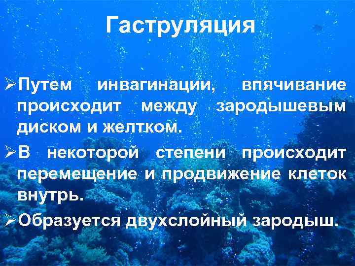 Гаструляция ØПутем инвагинации, впячивание происходит между зародышевым диском и желтком. ØВ некоторой степени происходит