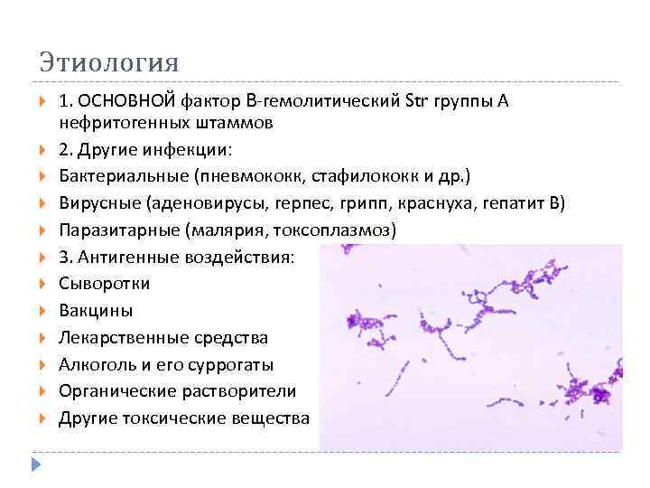 Этиология 1. ОСНОВНОЙ фактор B-гемолитический Str группы А нефритогенных штаммов 2. Другие инфекции: Бактериальные