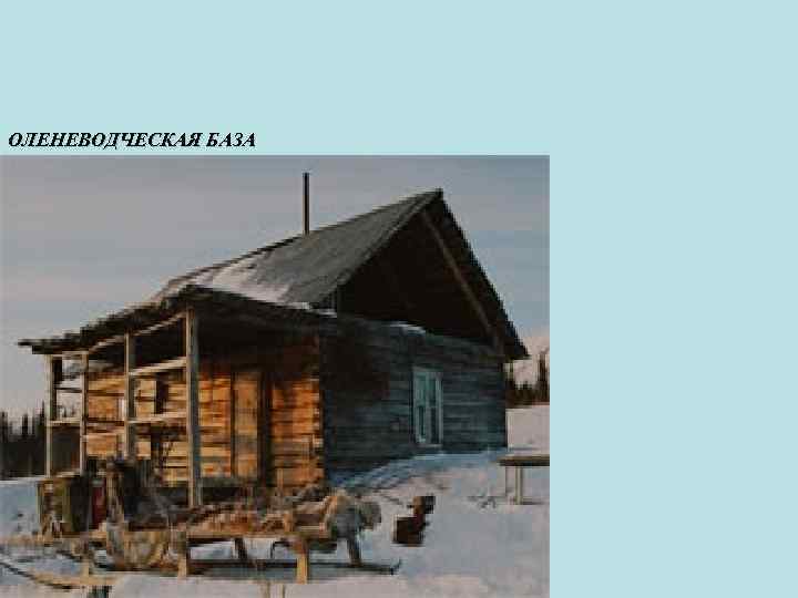 ОЛЕНЕВОДЧЕСКАЯ БАЗА 