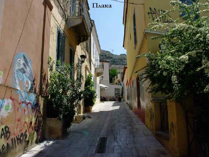 Плака 