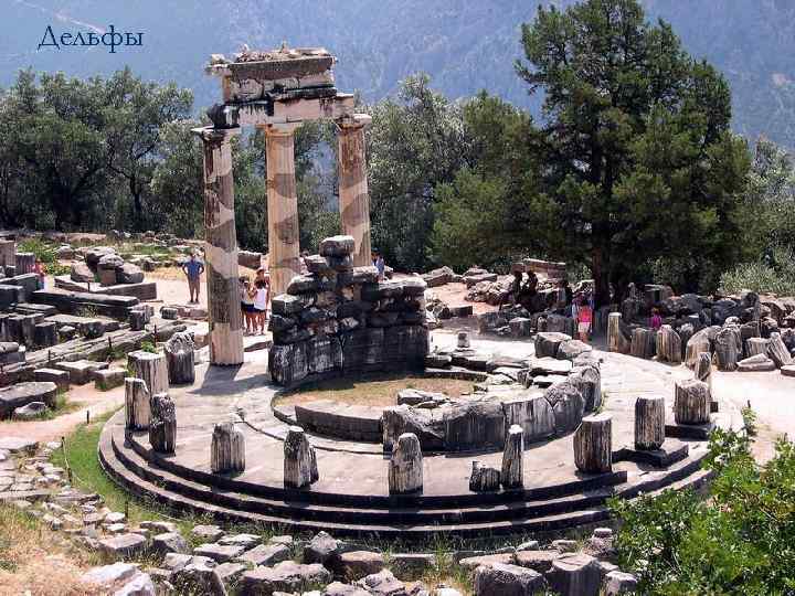Дельфы 