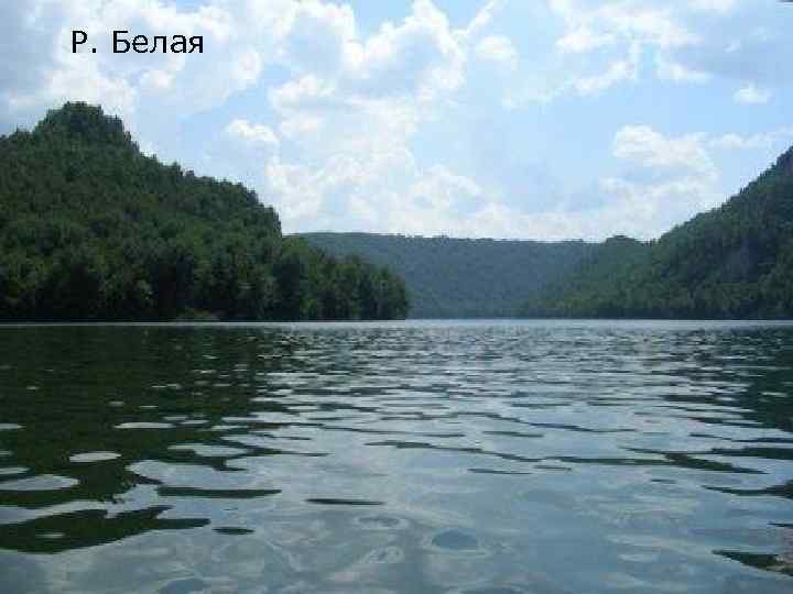 Р. Белая 