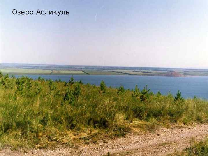 Озеро Асликуль 