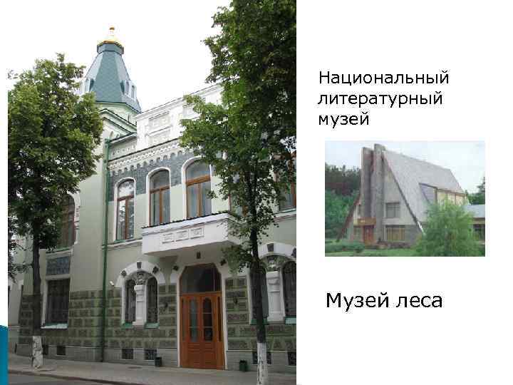 Национальный литературный музей Музей леса 