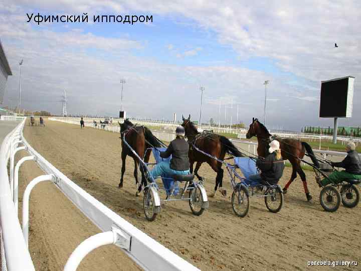 Уфимский ипподром 
