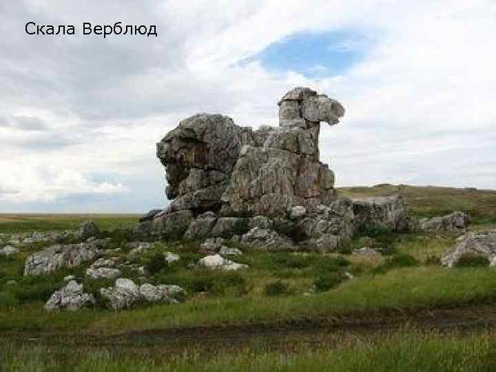 Скала Верблюд 