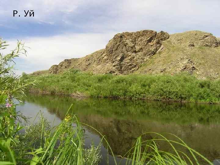 Р. Уй 