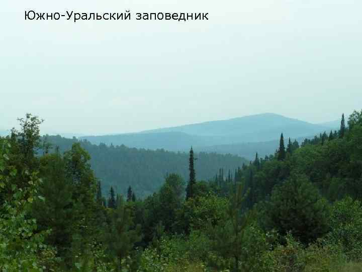 Южно-Уральский заповедник 