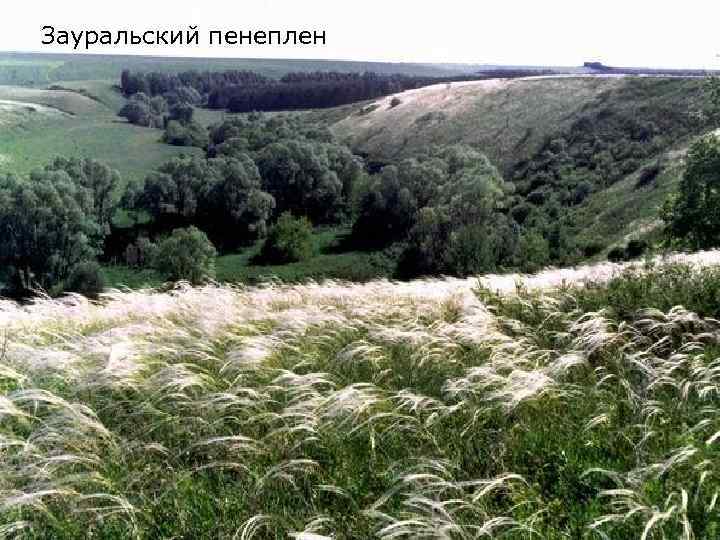 Зауральский пенеплен 