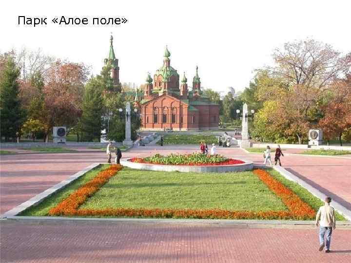 Парк «Алое поле» 