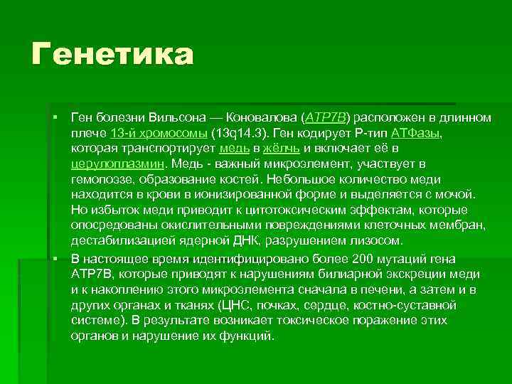 Генетика § Ген болезни Вильсона — Коновалова (ATP 7 B) расположен в длинном плече
