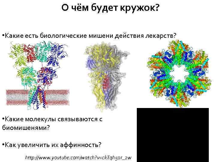 О чём будет кружок? • Какие есть биологические мишени действия лекарств? • Какие молекулы