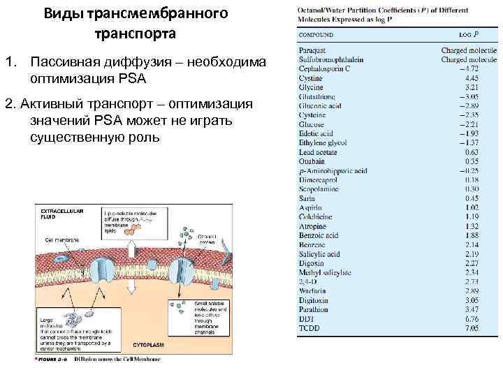 Виды трансмембранного транспорта 1. Пассивная диффузия – необходима оптимизация PSA 2. Активный транспорт –