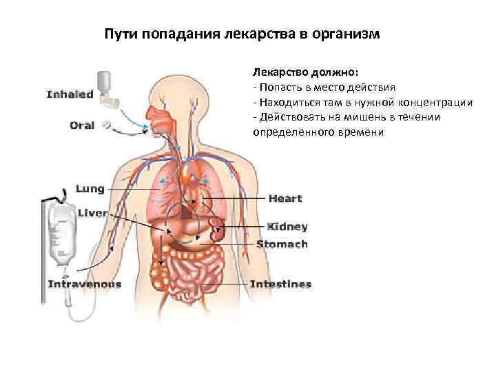 Пути введения лекарственных средств схема