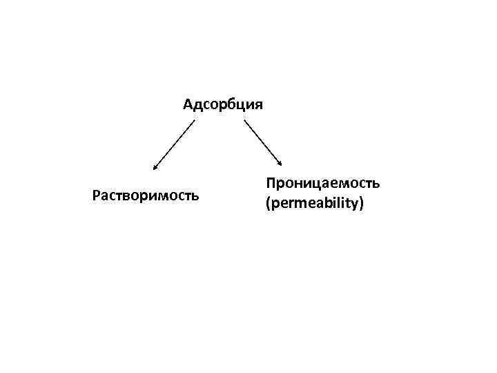 Адсорбция Растворимость Проницаемость (permeability) 