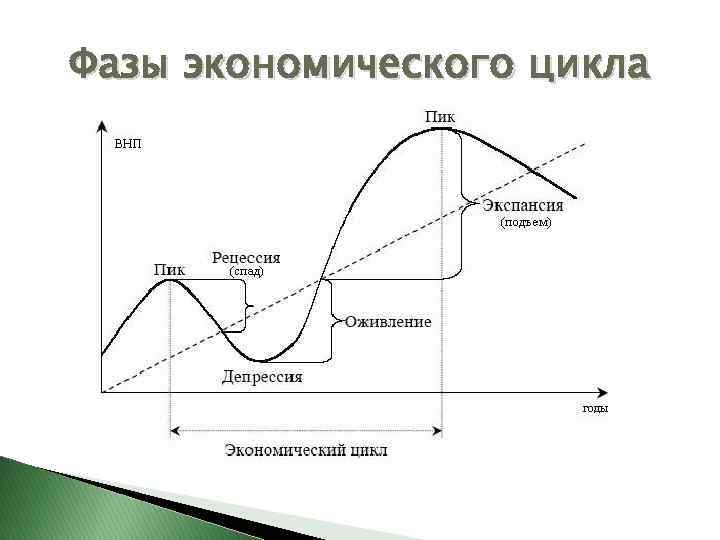Фазы экономического цикла 