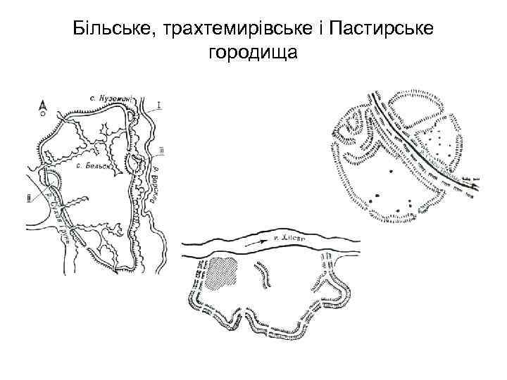 Більське, трахтемирівське і Пастирське городища 