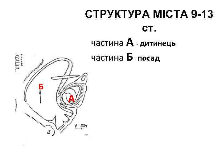 СТРУКТУРА МІСТА 9 -13 ст. частина А - дитинець частина Б - посад Б