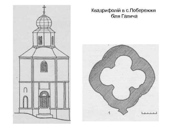 Квадрифолій в с. Побережжя біля Галича 