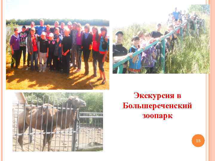 Экскурсия в Большереченский зоопарк 15 