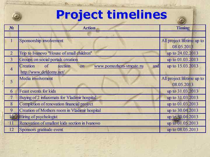 Project timelines 