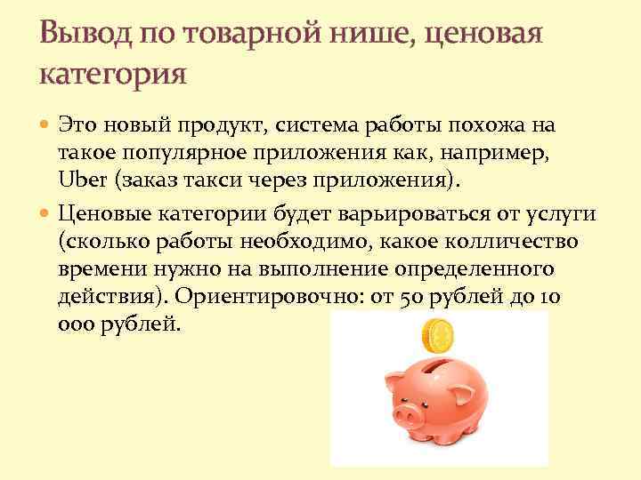 Вывод по товарной нише, ценовая категория Это новый продукт, система работы похожа на такое