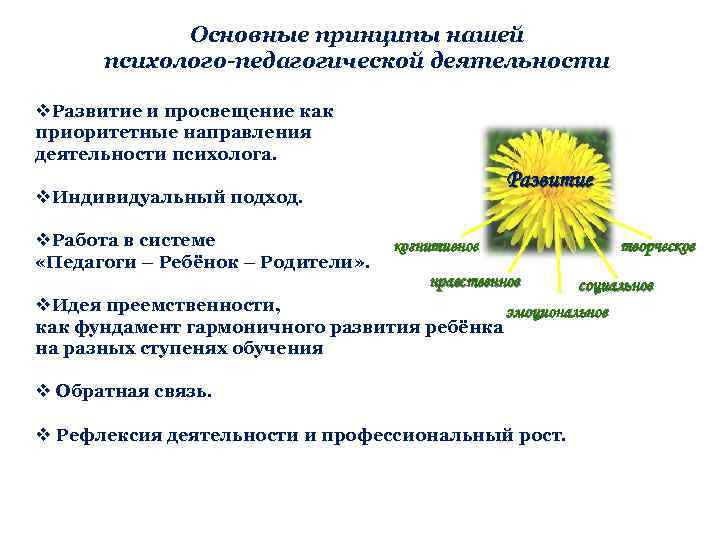 Основные принципы нашей психолого-педагогической деятельности v. Развитие и просвещение как приоритетные направления деятельности психолога.