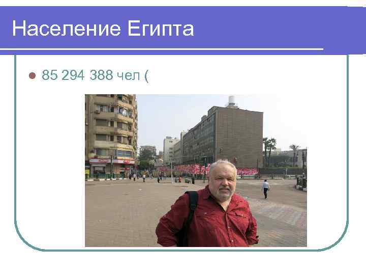 Население Египта l 85 294 388 чел ( 