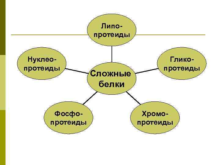 Липопротеиды Нуклеопротеиды Фосфопротеиды Сложные белки Гликопротеиды Хромопротеиды 